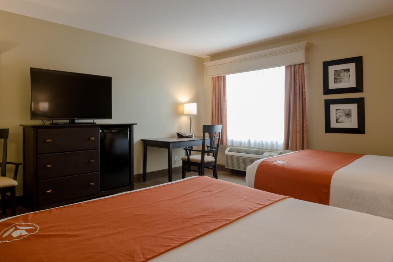 Amsterdam Inn & Suites Sussex Exterior photo