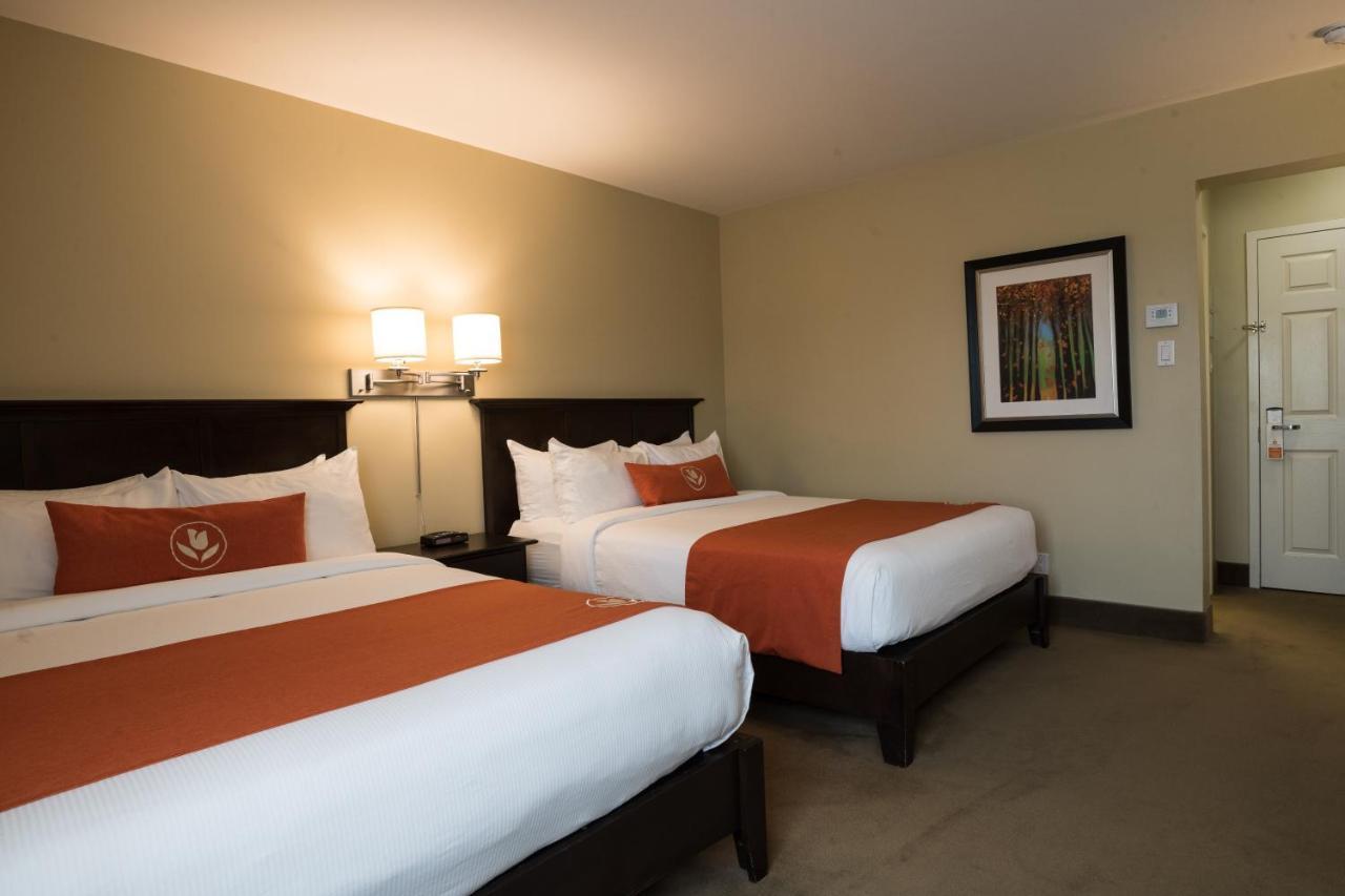 Amsterdam Inn & Suites Sussex Exterior photo