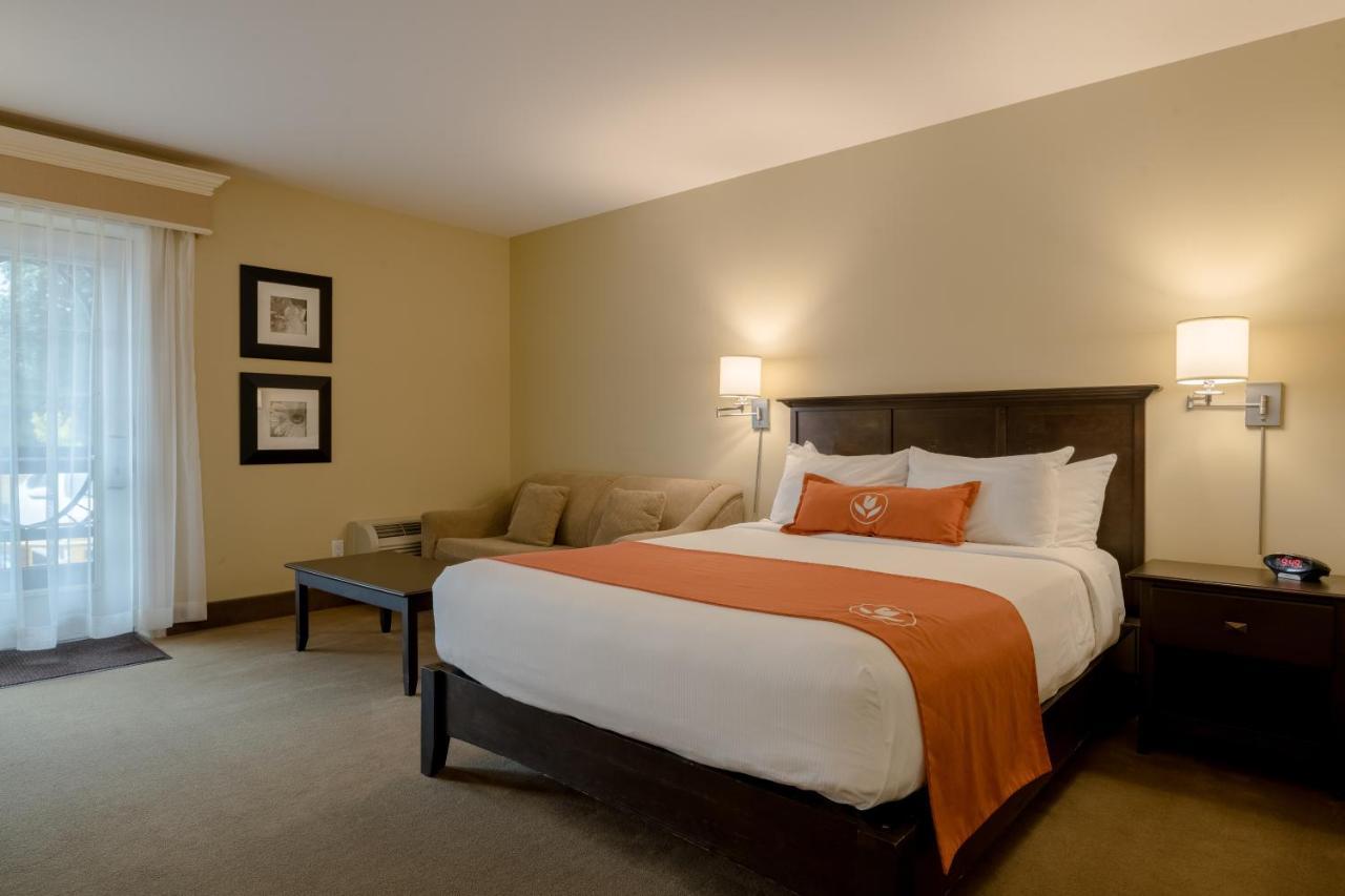 Amsterdam Inn & Suites Sussex Exterior photo