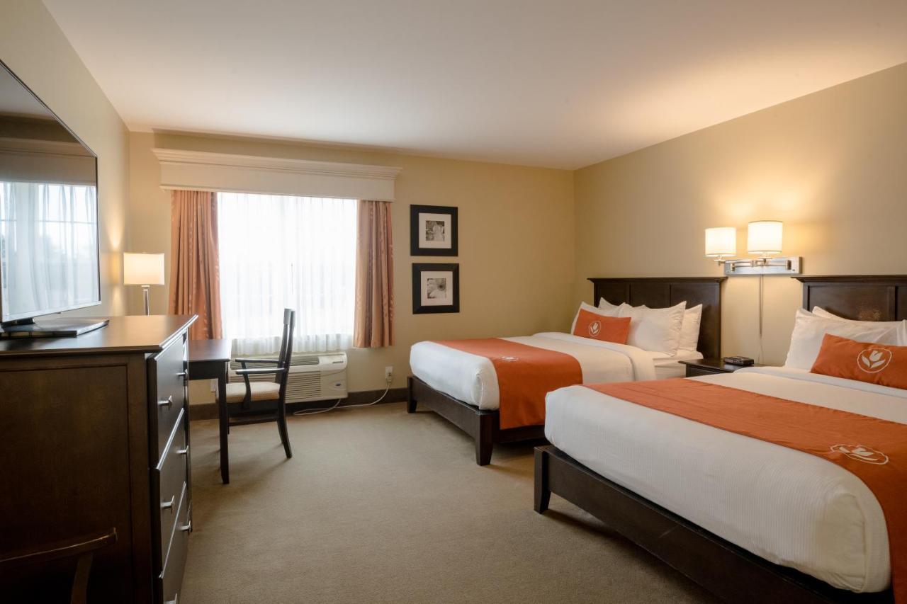 Amsterdam Inn & Suites Sussex Exterior photo