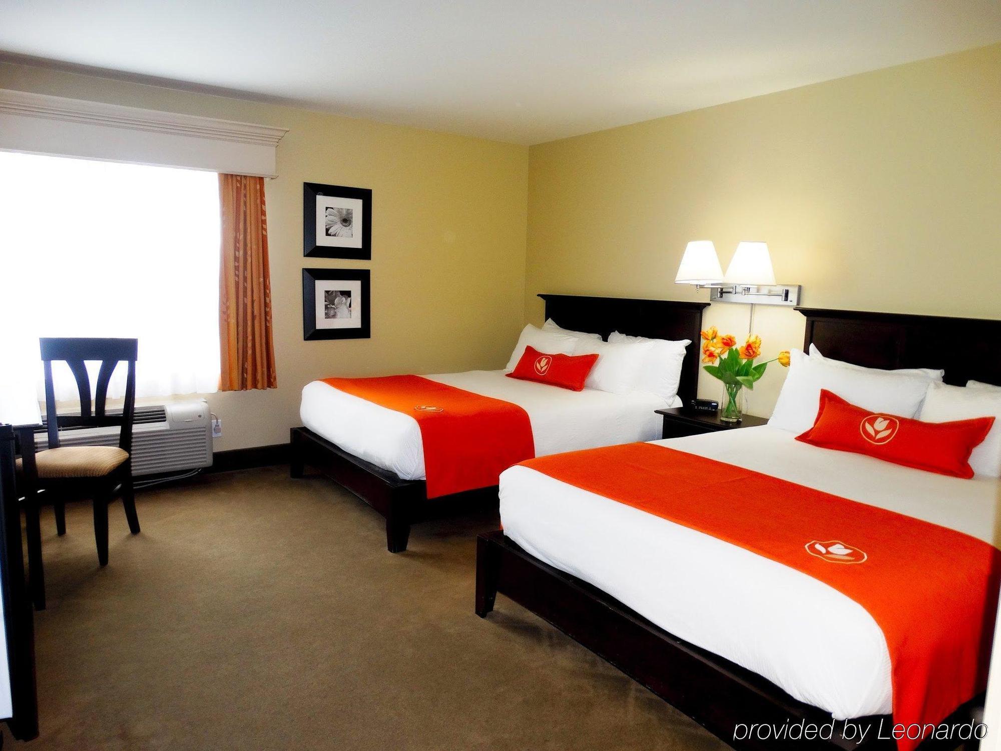 Amsterdam Inn & Suites Sussex Exterior photo
