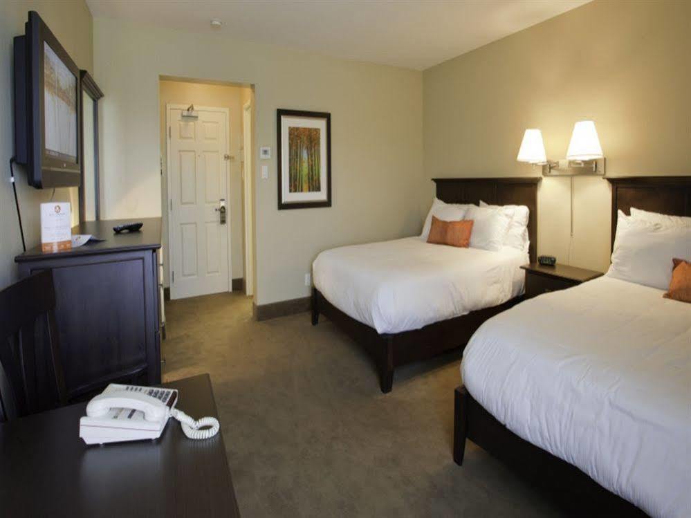 Amsterdam Inn & Suites Sussex Exterior photo