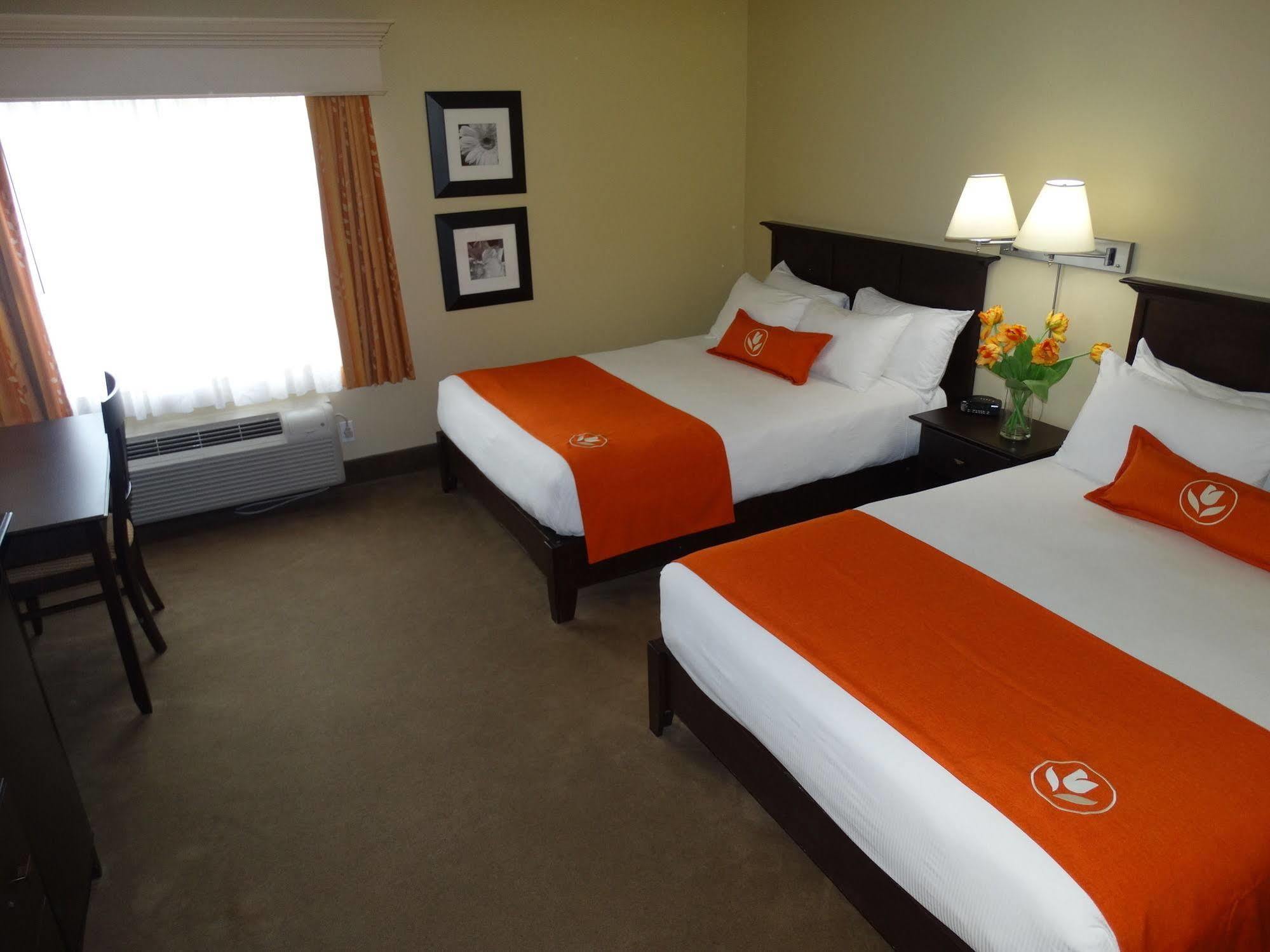 Amsterdam Inn & Suites Sussex Exterior photo